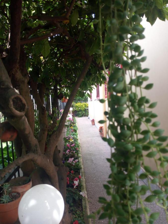 Green Garden ปอมเปอี ภายนอก รูปภาพ