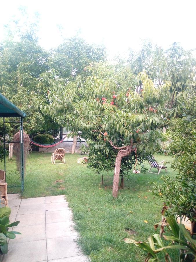 Green Garden ปอมเปอี ภายนอก รูปภาพ
